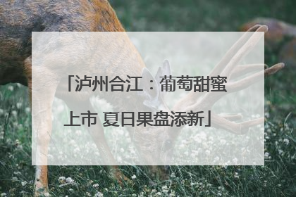 泸州合江：葡萄甜蜜上市 夏日果盘添新