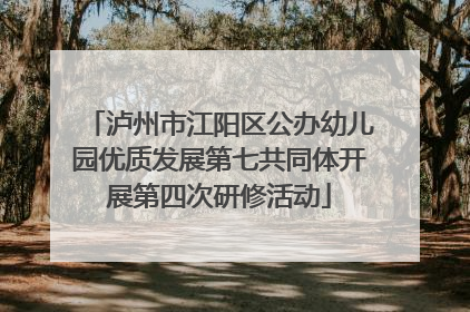泸州市江阳区公办幼儿园优质发展第七共同体开展第四次研修活动