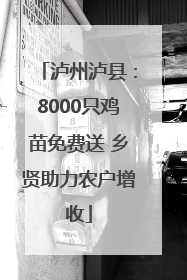 泸州泸县：8000只鸡苗免费送 乡贤助力农户增收
