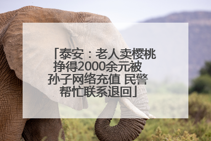 泰安：老人卖樱桃挣得2000余元被孙子网络充值 民警帮忙联系退回
