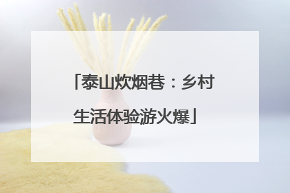 泰山炊烟巷：乡村生活体验游火爆