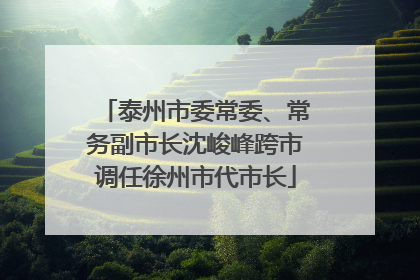 泰州市委常委、常务副市长沈峻峰跨市调任徐州市代市长