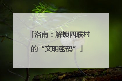 洛南：解锁四联村的“文明密码”