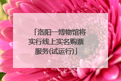 洛阳一博物馆将实行线上实名购票服务(试运行)