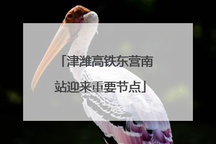 津潍高铁东营南站迎来重要节点