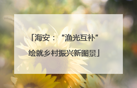 海安：“渔光互补” 绘就乡村振兴新图景