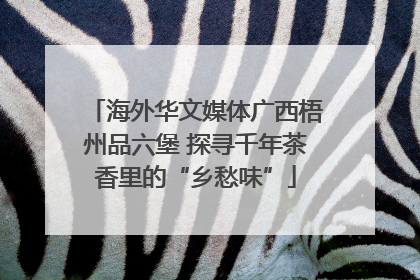 海外华文媒体广西梧州品六堡 探寻千年茶香里的“乡愁味”