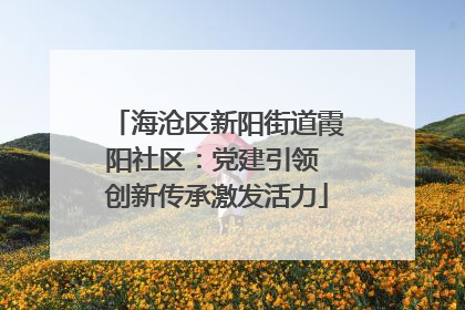 海沧区新阳街道霞阳社区：党建引领 创新传承激发活力
