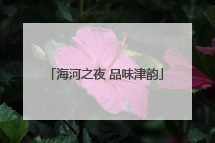 海河之夜 品味津韵