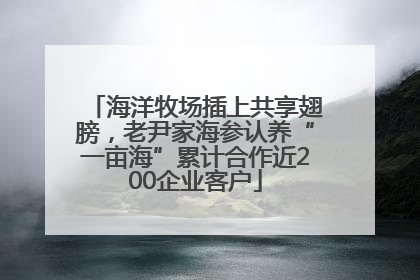 海洋牧场插上共享翅膀，老尹家海参认养“一亩海”累计合作近200企业客户