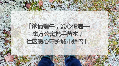 浓情端午，爱心传递——魔方公寓携手黄木 厂社区暖心守护城市蜂鸟