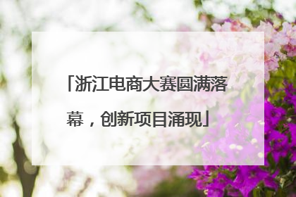 浙江电商大赛圆满落幕，创新项目涌现