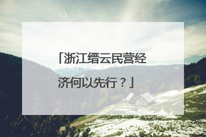 浙江缙云民营经济何以先行？