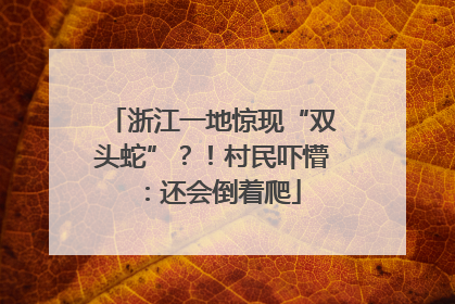 浙江一地惊现“双头蛇”？！村民吓懵：还会倒着爬