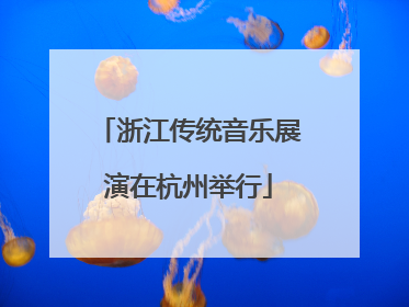 浙江传统音乐展演在杭州举行