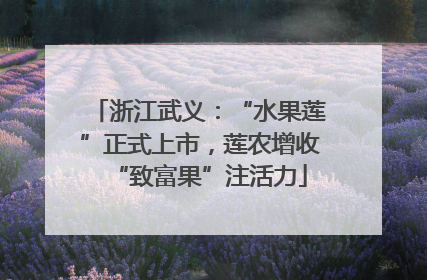 浙江武义：“水果莲”正式上市，莲农增收“致富果”注活力