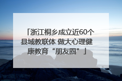 浙江桐乡成立近60个县域教联体 做大心理健康教育“朋友圈”