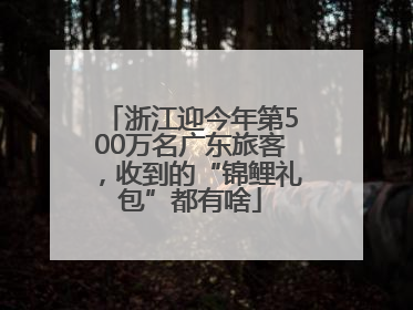 浙江迎今年第500万名广东旅客，收到的“锦鲤礼包”都有啥