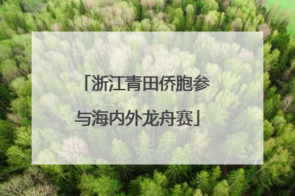 浙江青田侨胞参与海内外龙舟赛