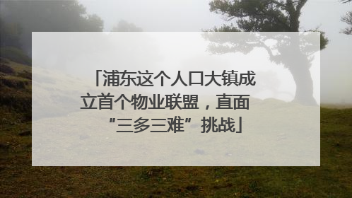 浦东这个人口大镇成立首个物业联盟，直面“三多三难”挑战