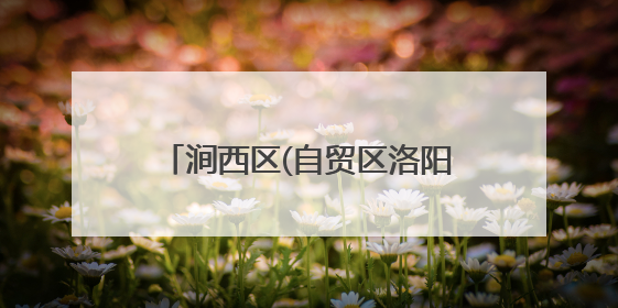 涧西区(自贸区洛阳片区)：“增值服务”打造政务服务新体验