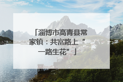 淄博市高青县常家镇：共富路上“一路生花”
