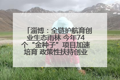 淄博：全链护航育创业生态雨林 今年74个“金种子”项目加速培育 政策性扶持创业9754人