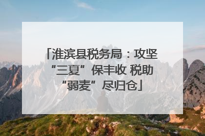 淮滨县税务局：攻坚“三夏”保丰收 税助“弱麦”尽归仓