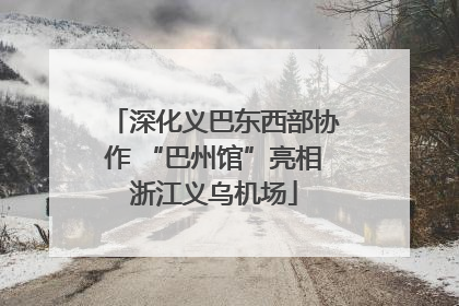 深化义巴东西部协作 “巴州馆”亮相浙江义乌机场