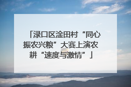 渌口区淦田村“同心振农兴粮”大赛上演农耕“速度与激情”