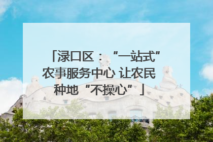 渌口区：“一站式”农事服务中心 让农民种地“不操心”