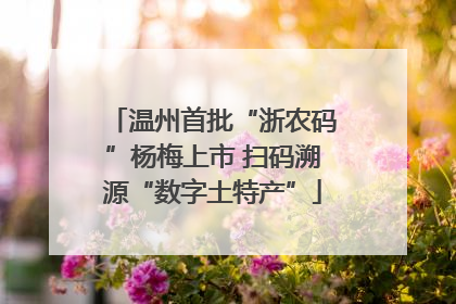 温州首批“浙农码”杨梅上市 扫码溯源“数字土特产”