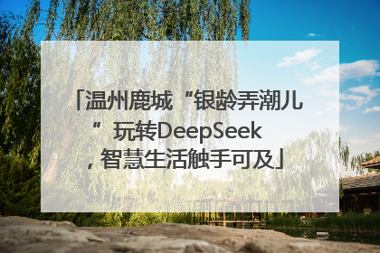 温州鹿城“银龄弄潮儿”玩转DeepSeek，智慧生活触手可及