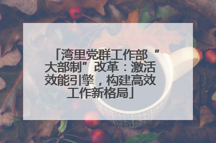 湾里党群工作部“大部制”改革：激活效能引擎，构建高效工作新格局