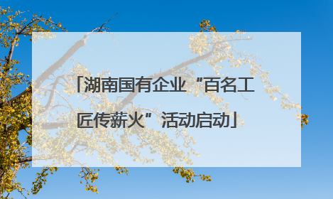 湖南国有企业“百名工匠传薪火”活动启动