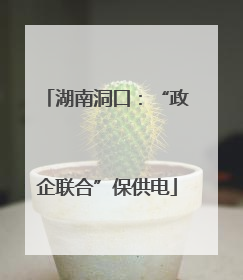 湖南洞口：“政企联合”保供电