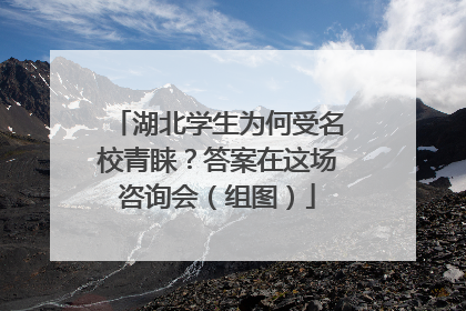 湖北学生为何受名校青睐？答案在这场咨询会（组图）