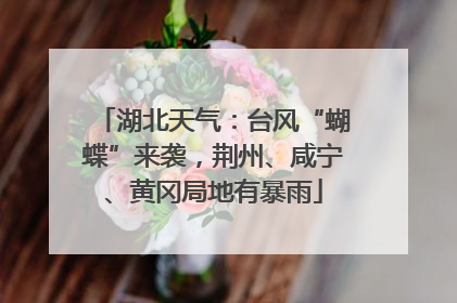 湖北天气：台风“蝴蝶”来袭，荆州、咸宁、黄冈局地有暴雨