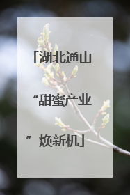湖北通山“甜蜜产业”焕新机