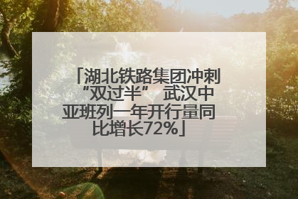 湖北铁路集团冲刺“双过半” 武汉中亚班列一年开行量同比增长72%