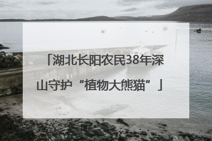 湖北长阳农民38年深山守护“植物大熊猫”