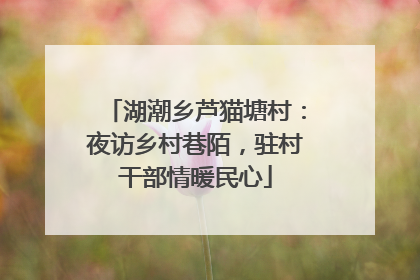 湖潮乡芦猫塘村：夜访乡村巷陌，驻村干部情暖民心