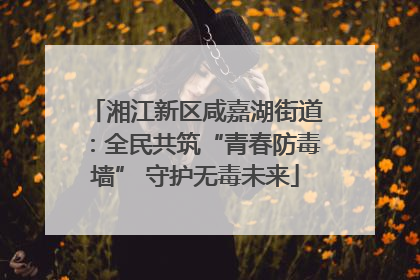 湘江新区咸嘉湖街道：全民共筑“青春防毒墙” 守护无毒未来