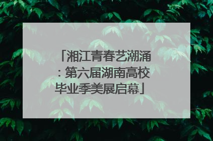 湘江青春艺潮涌：第六届湖南高校毕业季美展启幕