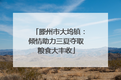 滕州市大坞镇：倾情助力三夏夺取粮食大丰收
