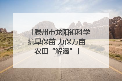 滕州市龙阳镇科学抗旱保苗 力保万亩农田“解渴”