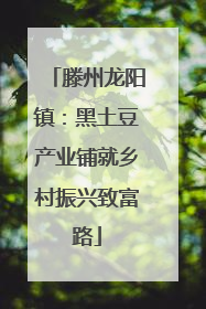 滕州龙阳镇：黑土豆产业铺就乡村振兴致富路