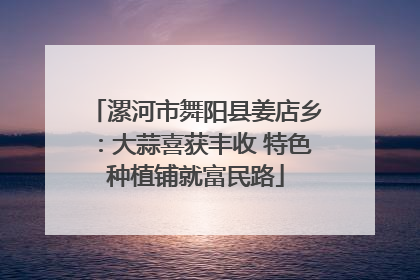 漯河市舞阳县姜店乡：大蒜喜获丰收 特色种植铺就富民路