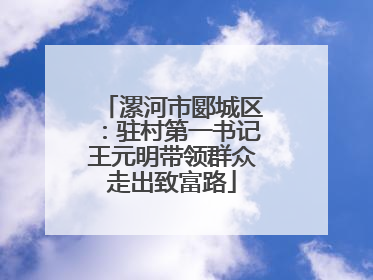 漯河市郾城区：驻村第一书记王元明带领群众走出致富路