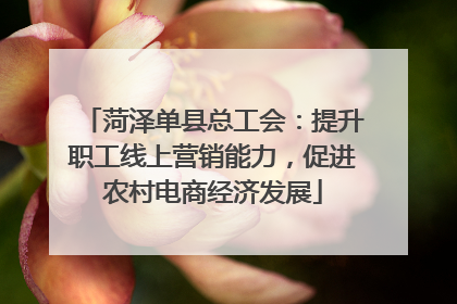 菏泽单县总工会：提升职工线上营销能力，促进农村电商经济发展